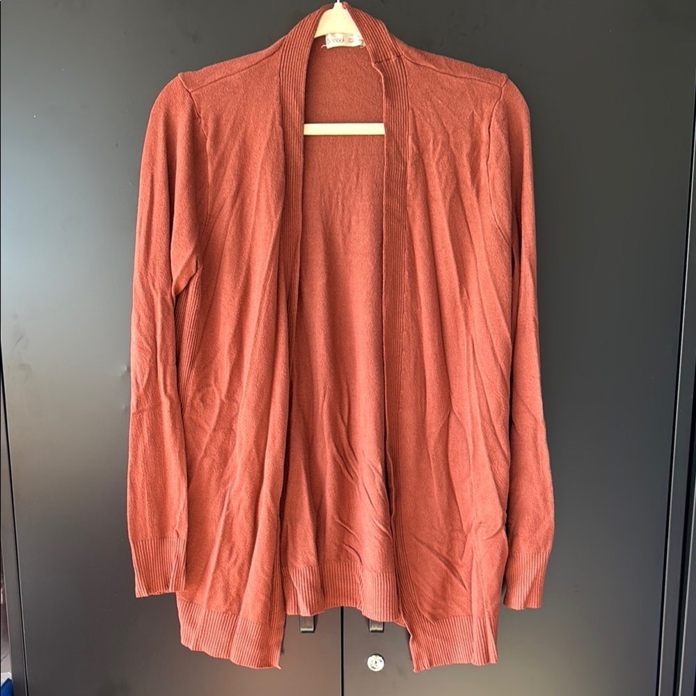 Women's size Large | Rust (ish) color Sweater/cardigan